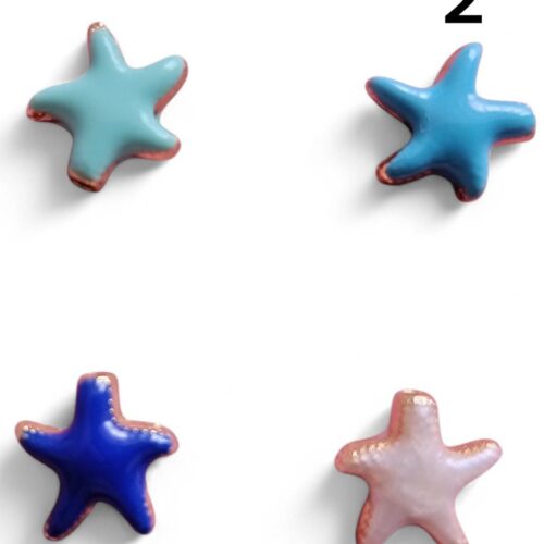 Mineli Deniz Yıldızı Ara Aparat