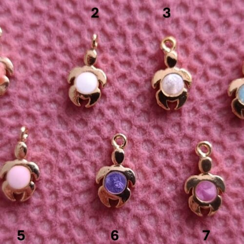 Mineli Kaplumbağa Ara Aparat2